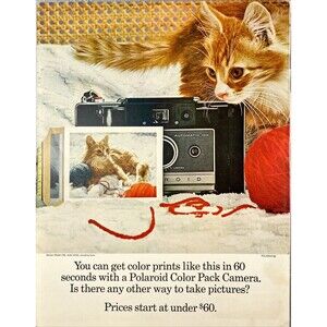 Polaroid Color Pack Camera Cat Color Prints 60 Seconds" Vintage Print Ad 1966